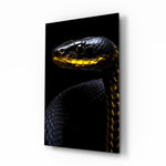Black and Yellow Viper wildlife glass wall art in a modern study