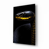 Black and Yellow Viper wildlife glass wall art in a modern study