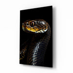 Golden-Eyed Black Snake wildlife glass wall art in a modern study