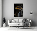 Close-up detail of the black serpent and ruby eye behind glass