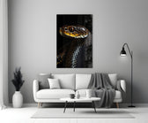 Close-up detail of the black serpent and ruby eye behind glass