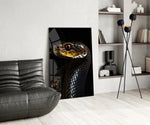 Wildlife glass print bringing predator calm to a teen's bedroom