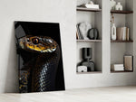 Predator panel against a moody dark-painted accent wall