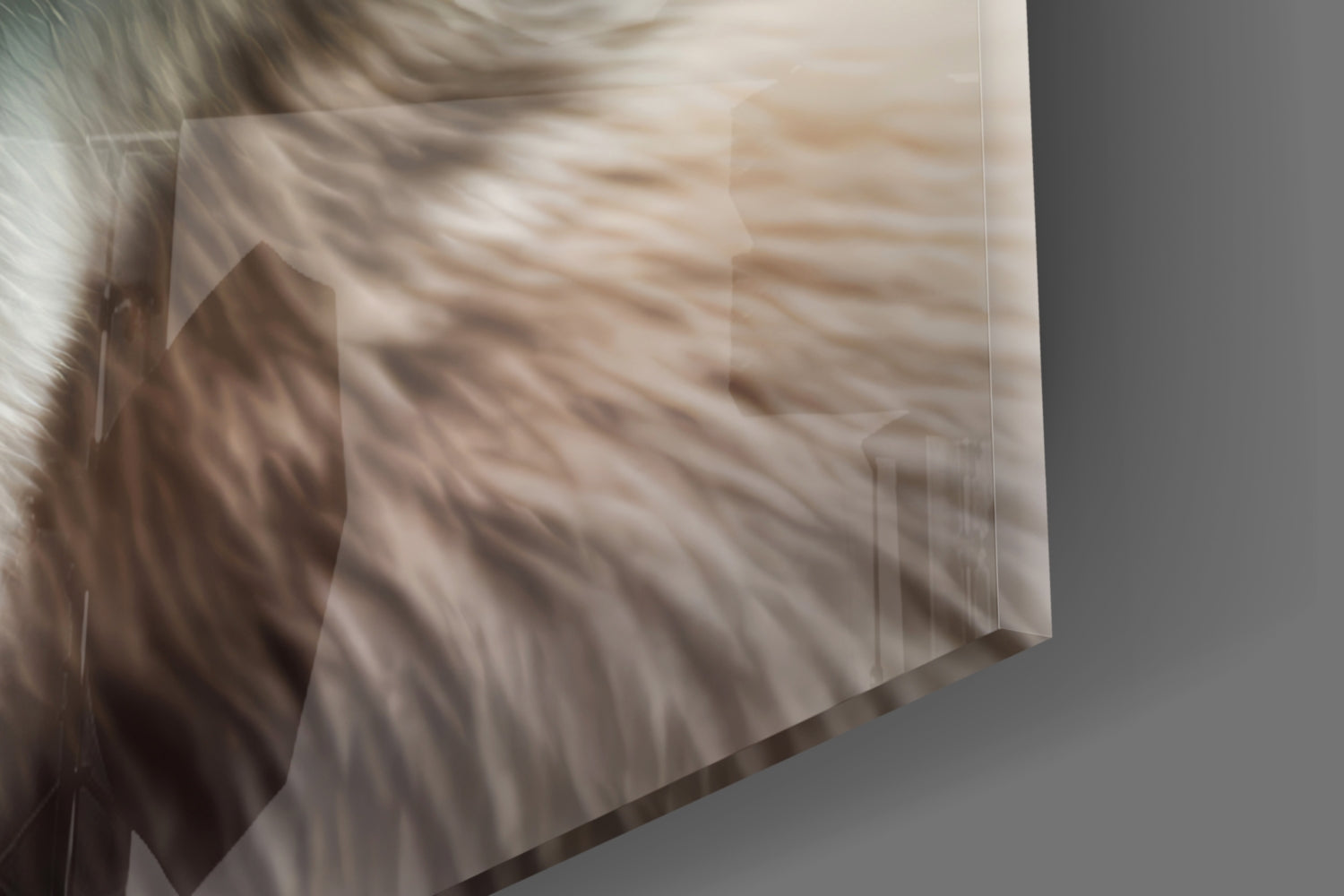 Polar Bear's Gaze Glass Wall Art || Designer Collection