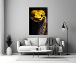 Close-up detail of the yellow snake head behind glass
