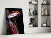 Predator panel against a moody dark-painted accent wall