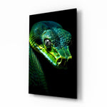 Emerald Green Viper wildlife glass wall art in a modern study