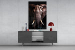 Wise Elephant glass wall art catching light to reveal its hide texture