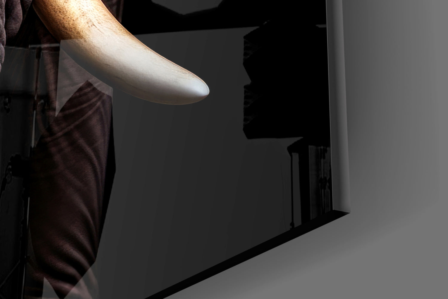 The Wise Look of the Elephant Glass Wall Art || Designer Collection