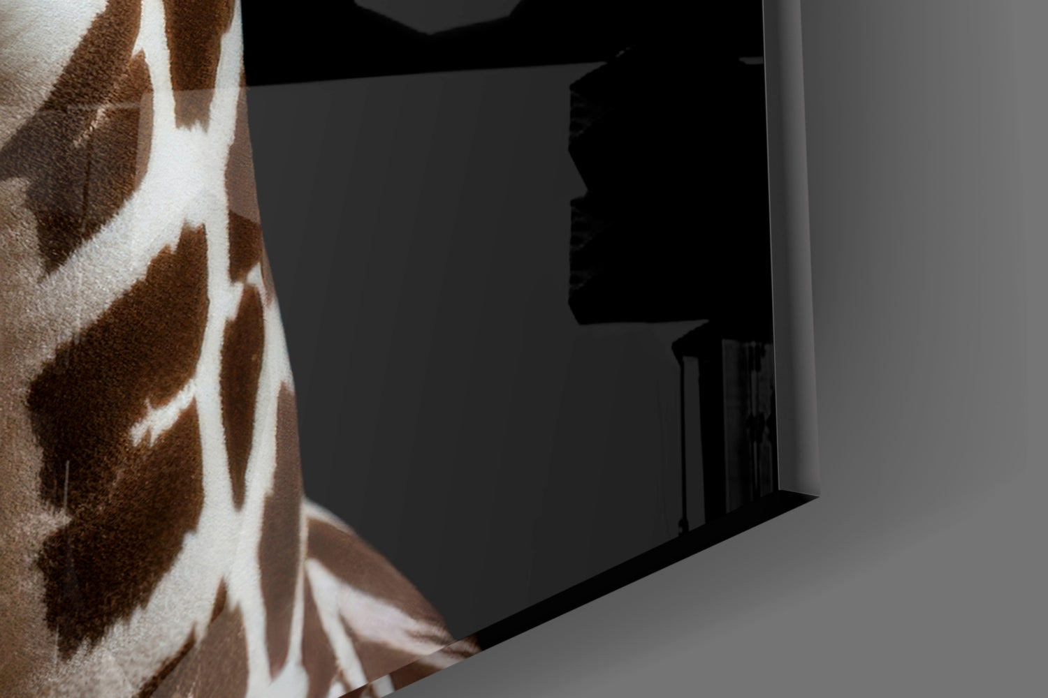 Light Colored Giraffe Portrait Glass Wall Art || Designer Collection