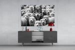 Wolf in Sheep's Clothing glass wall art catching light to reveal its selective color
