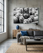 Wolf in Sheep's Clothing Glass Wall Art || Designer Collection - Lifestyle preview in a designer interior