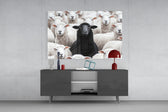 Black Sheep glass wall art catching light to reveal its photoreal wool
