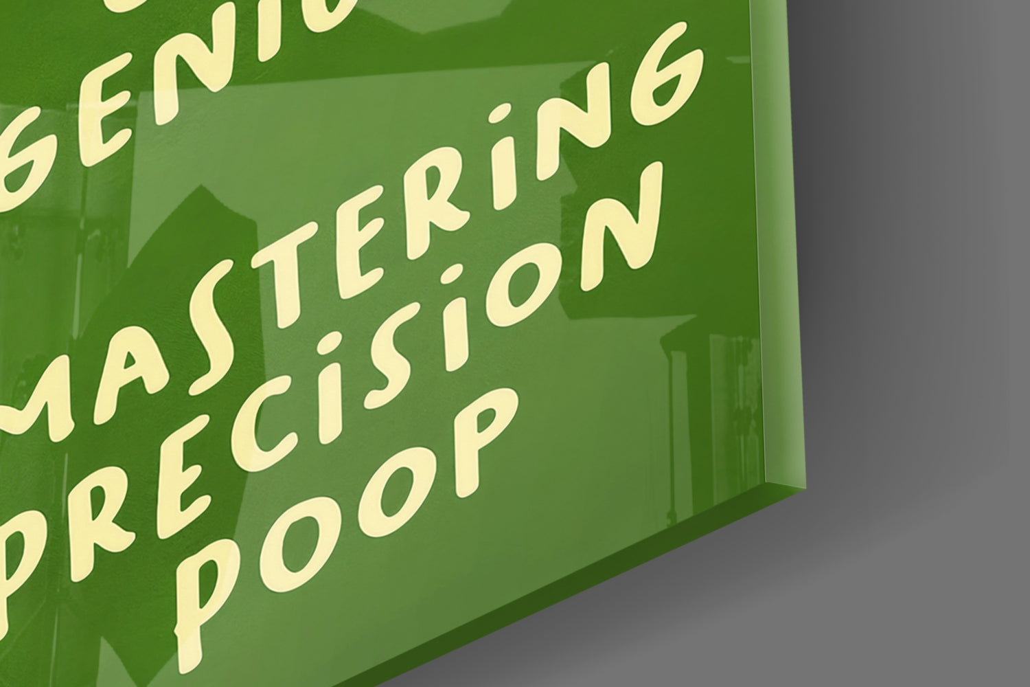 Seagull Science Glass Wall Art || Designer Collection