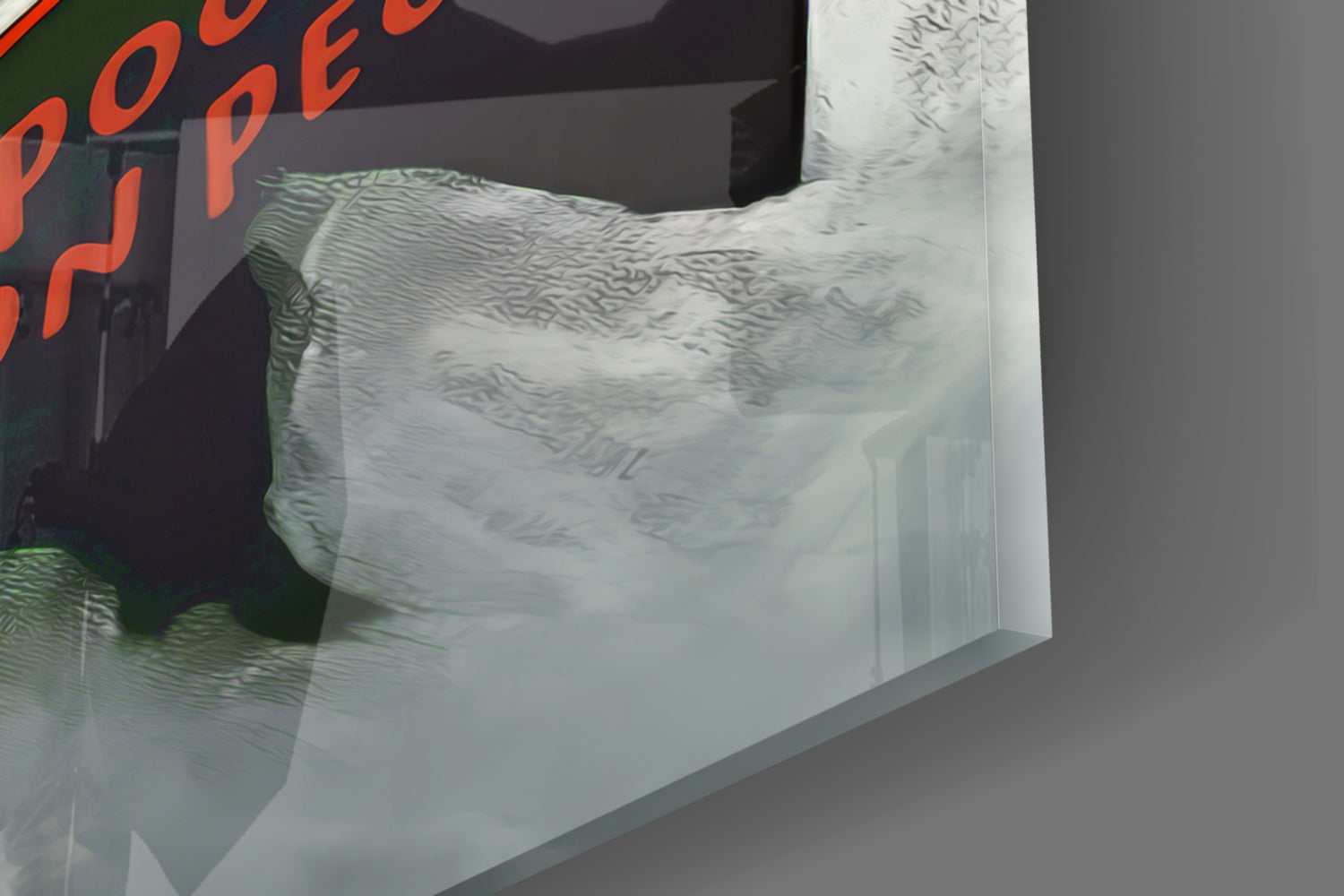 Educated Seagull Glass Wall Art || Designer Collection