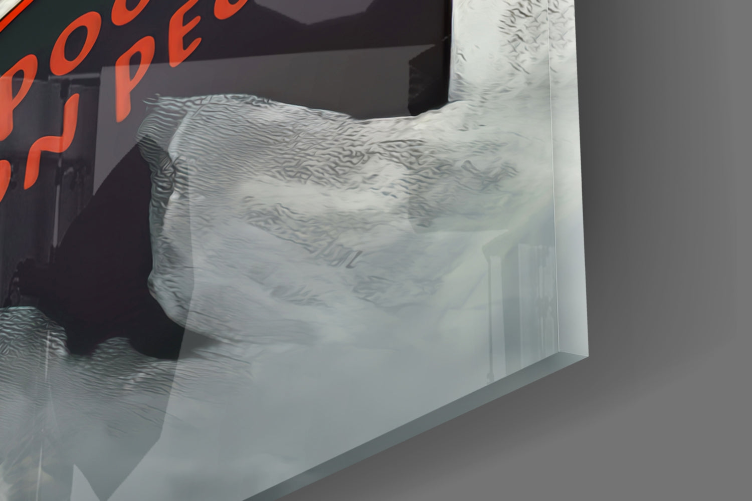 Wise Seagull Glass Wall Art || Designer Collection