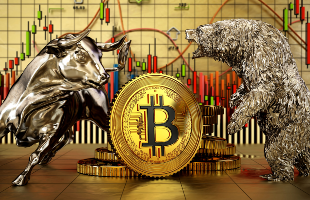 Bitcoin Bull and Bear Glass Wall Art