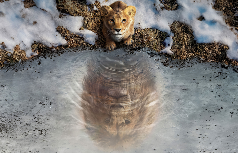 Reflections of the Wild Glass Wall Art