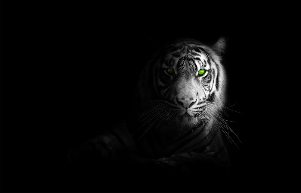 Wild Tiger Photo Art Glass Wall Art