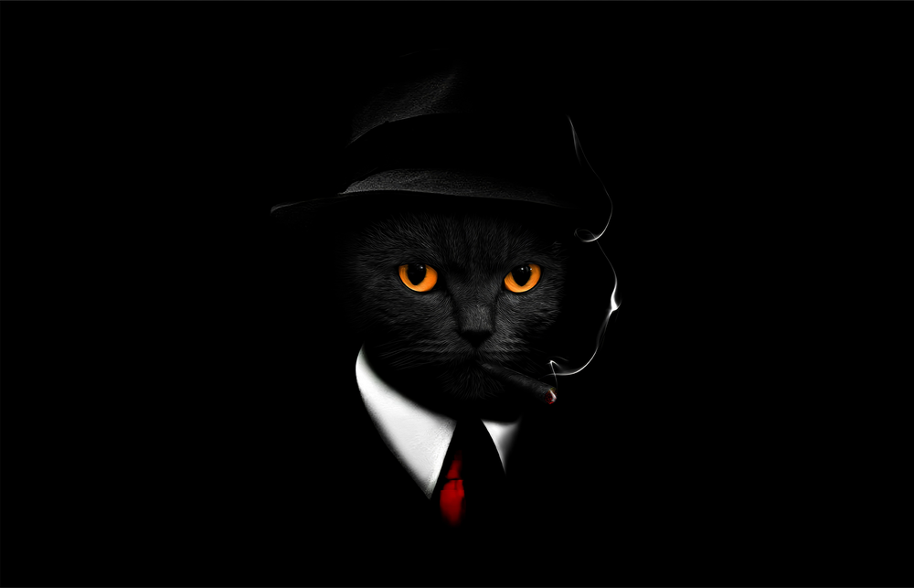 Cool Cat Detective Glass Wall Art