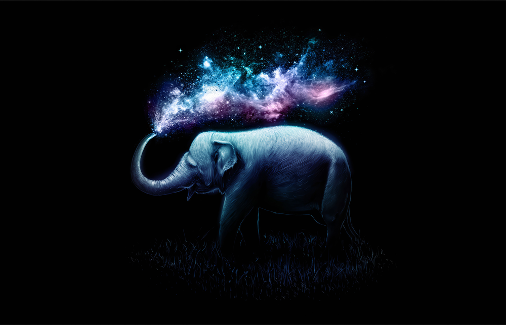 Elephant Galaxy Glass Wall Art