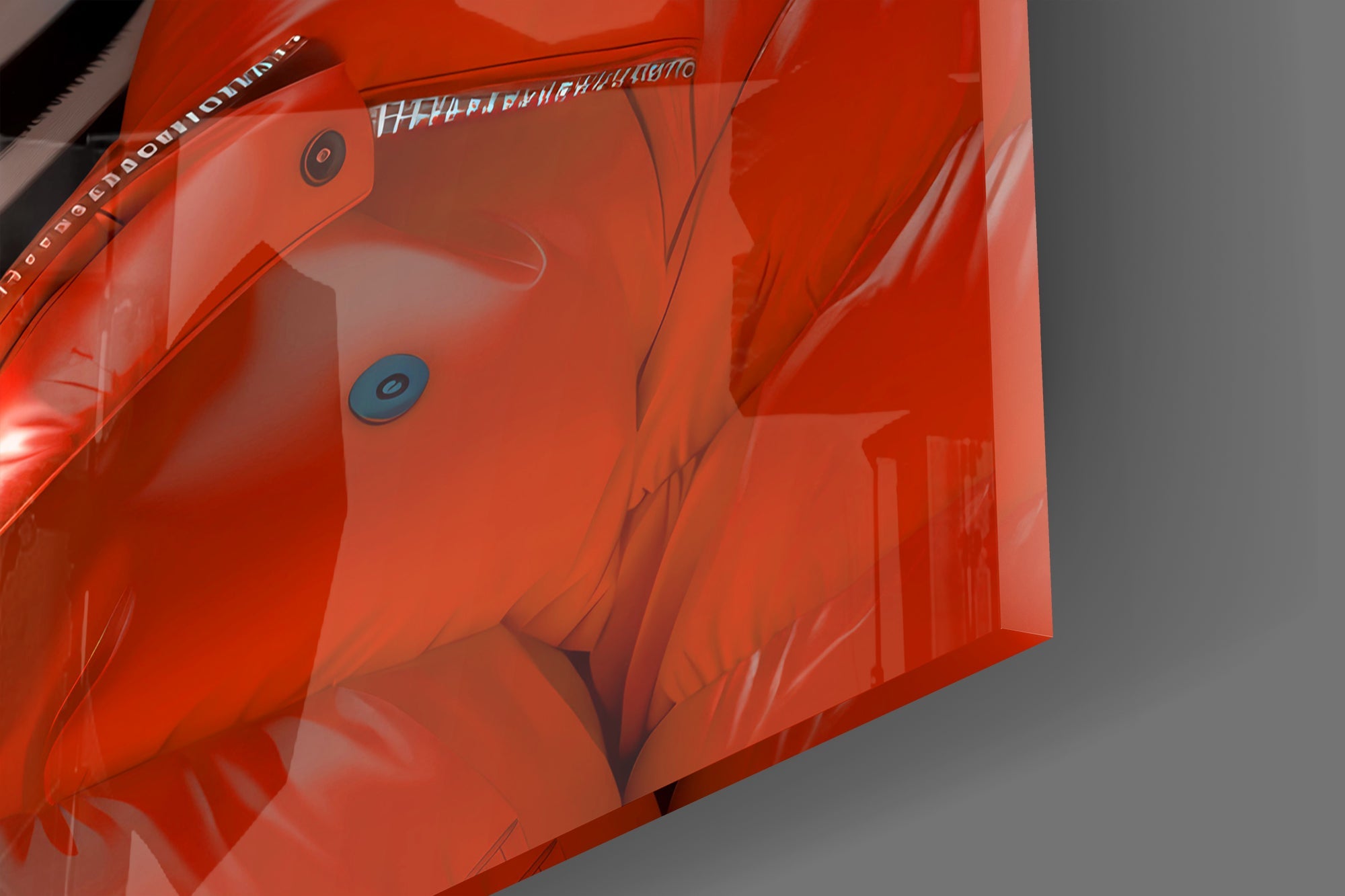 Zebra Art on Canvas Glass Wall Art