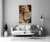 Apollo butterfly cinematic glass wall art in heritage stairwell