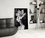 B&W flower-mask cinematic glass wall art over modern dining sideboard