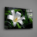 Old Master botanical Easter cinematic glass wall art in wellness clinic reception