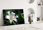 Mapplethorpe style cinematic glass wall art in heritage stairwell