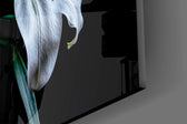 Three lilies cinematic glass wall art in heritage dining room