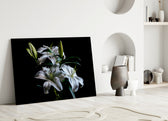 Mapplethorpe still-life cinematic glass wall art in heritage stairwell