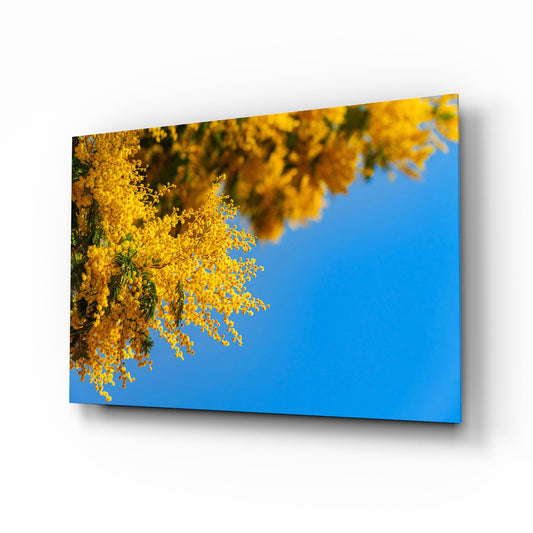 Mimosa branch blue sky cinematic glass wall art over walnut console in designer Mediterranean-themed kitchen