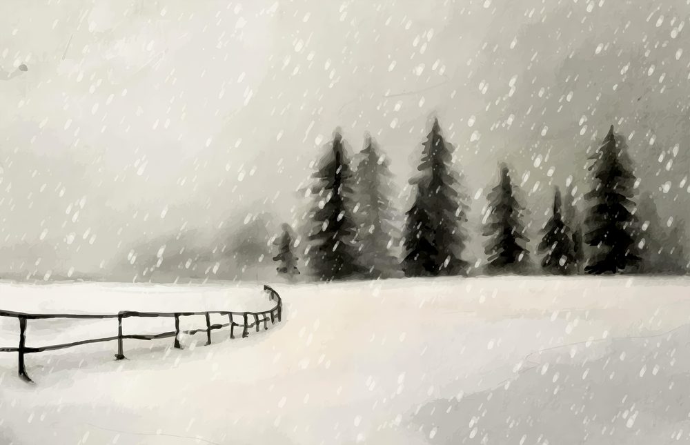 Snowy Pine Forest Path Glass Wall Art