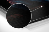 Cat Brushed Aluminum Dibond Wall Art.