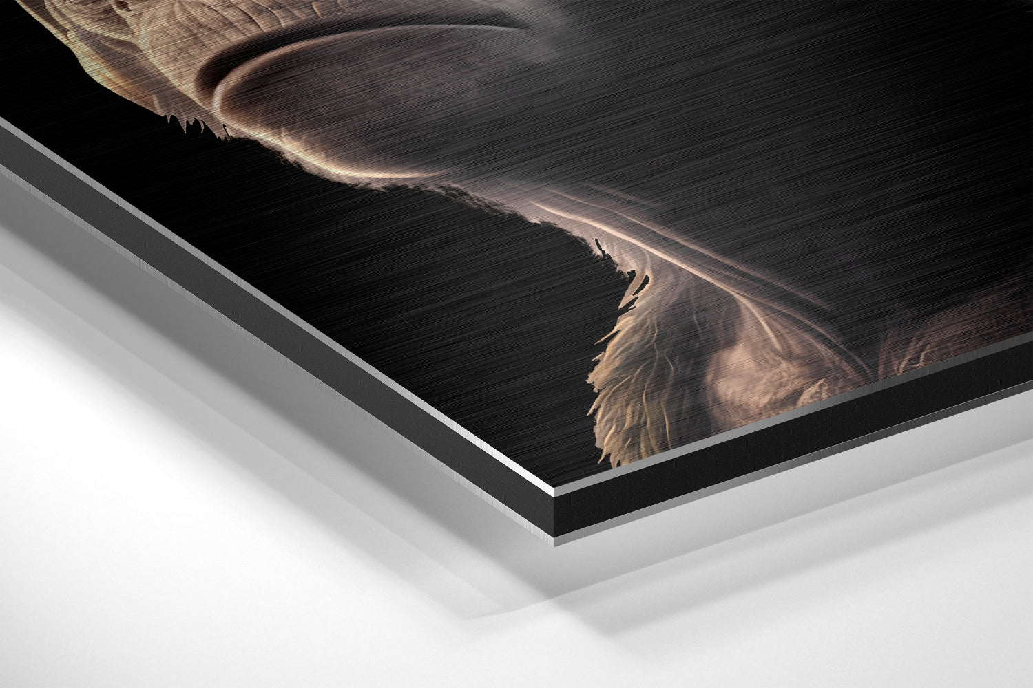 3 Wise Monkeys Brushed Aluminum Dibond Wall Art.