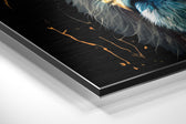 Lion Brushed Aluminum Dibond Wall Art.
