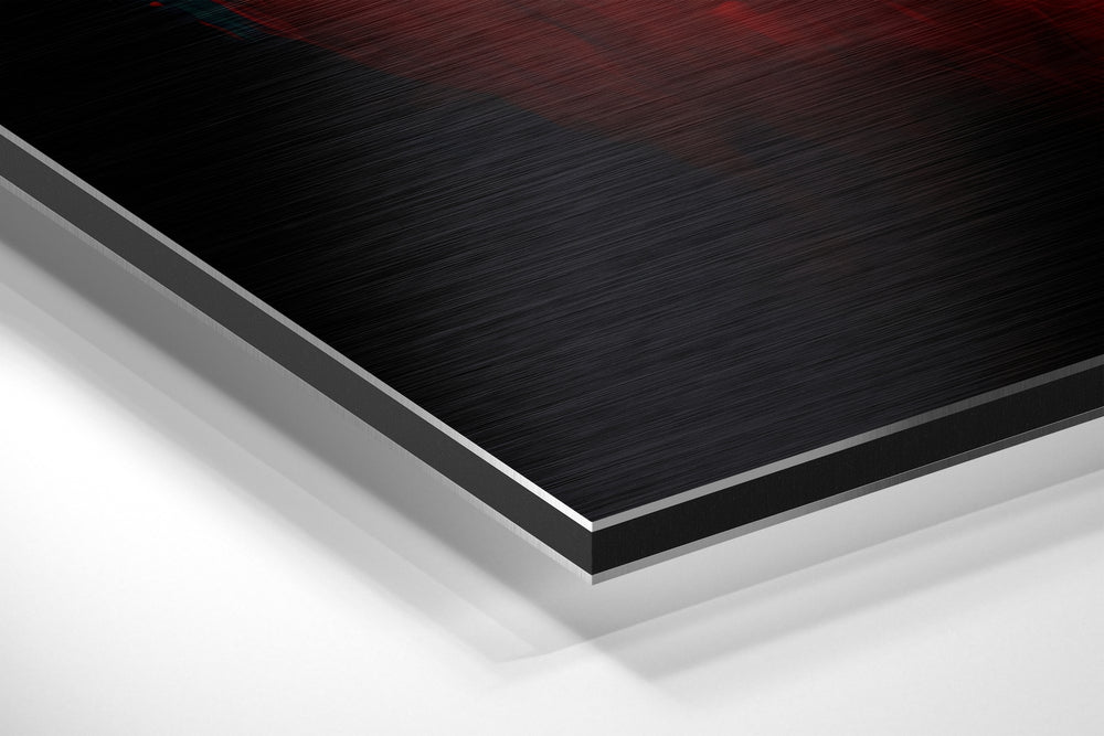 Lion Brushed Aluminum Dibond Wall Art.