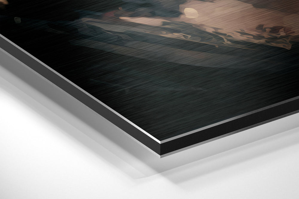 Beauty Brushed Aluminum Dibond Wall Art.