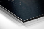Elephant Brushed Aluminum Dibond Wall Art.