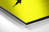 Brushed Aluminum Dibond Wall Art