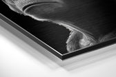 3 Wise Monkeys Brushed Aluminum Dibond Wall Art.