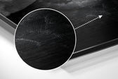 Women Brushed Aluminum Dibond Wall Art.