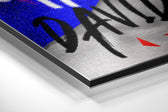 David Bowie Brushed Aluminum Dibond Wall Art.