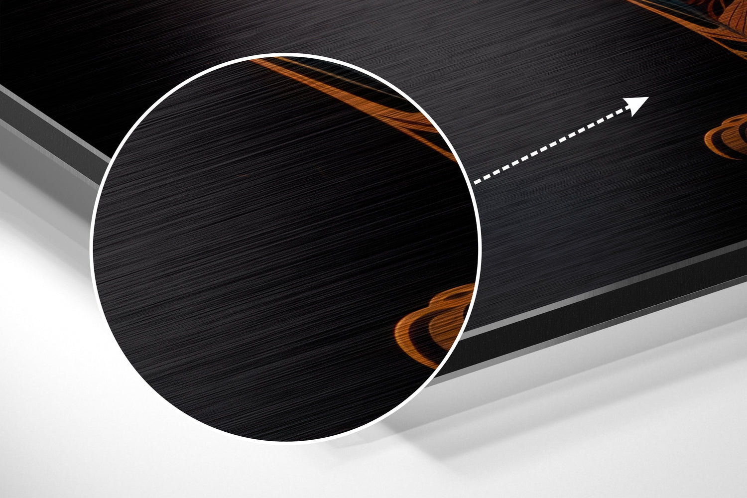 Lion Brushed Aluminum Dibond Wall Art.