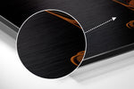Lion Brushed Aluminum Dibond Wall Art.