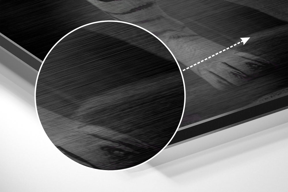 Anger of Tiger Brushed Aluminum Dibond Wall Art.