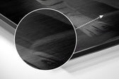 Anger of Tiger Brushed Aluminum Dibond Wall Art.