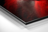 Wise Monkey Brushed Aluminum Dibond Wall Art.