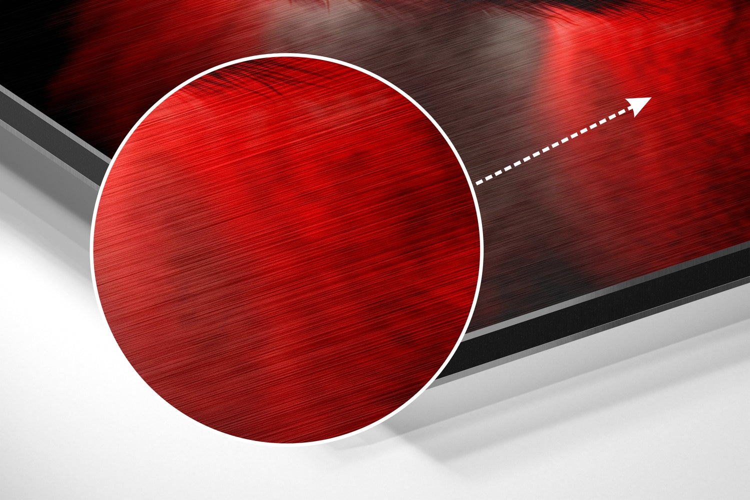 Wise Monkey Brushed Aluminum Dibond Wall Art.